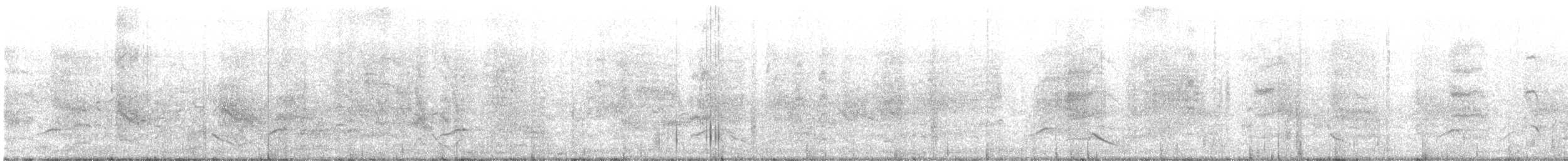 Apôtre gris - ML631244001