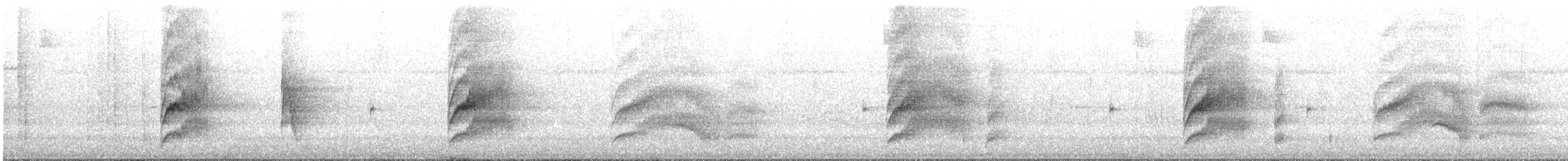 Tyran licteur - ML631244323