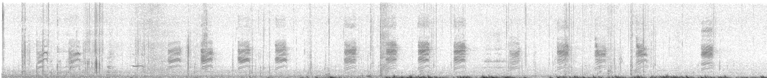 Schwarzkopftrupial (graduacauda/audubonii) - ML631245056