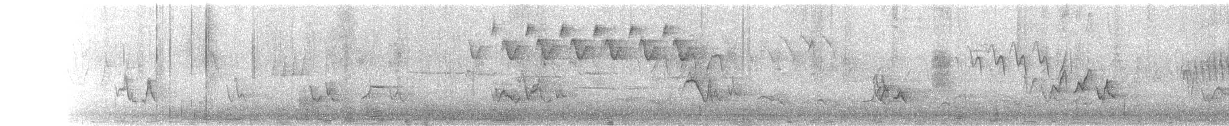 Black-and-white Warbler - ML631245989