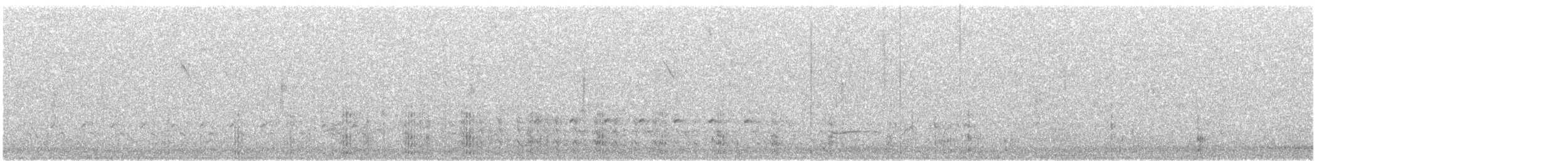 American Coot - ML631248902