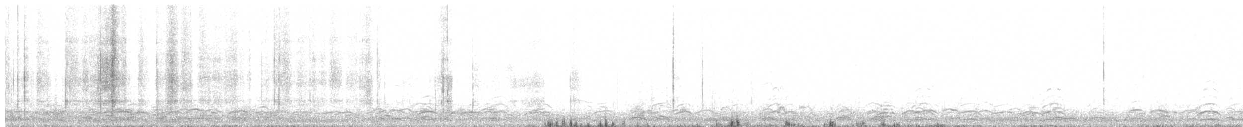 Snow Goose - ML631258480