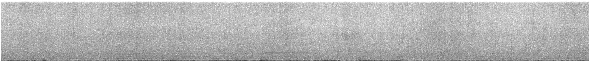 Black Scoter - ML631258593