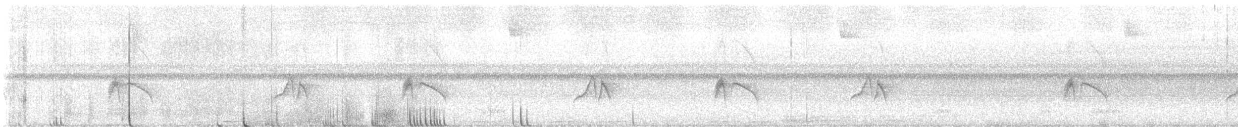 Blackish Pewee - ML631262076