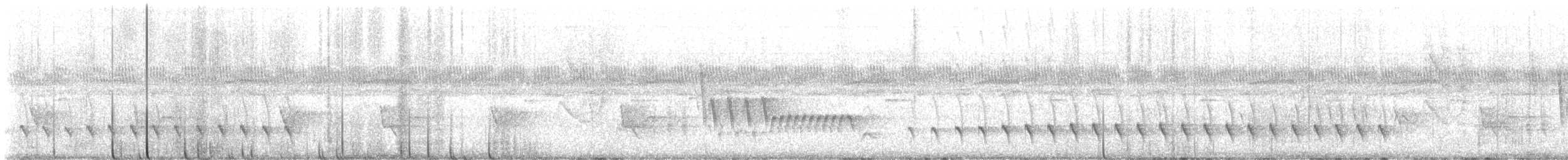 ズキンヒメアリサザイ - ML631263605