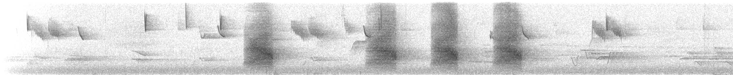 Steller's Jay - ML631265009