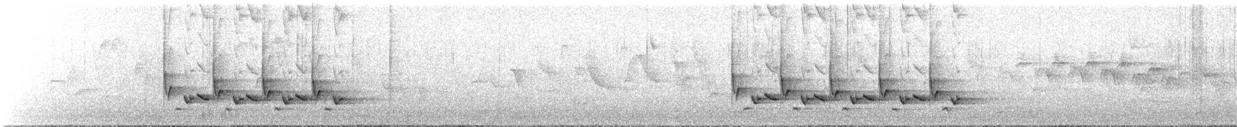 Поплітник каролінський - ML631265066