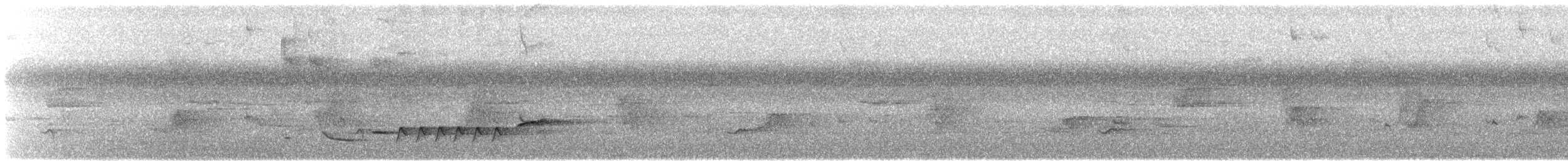 Sinaloa Wren - ML631265505