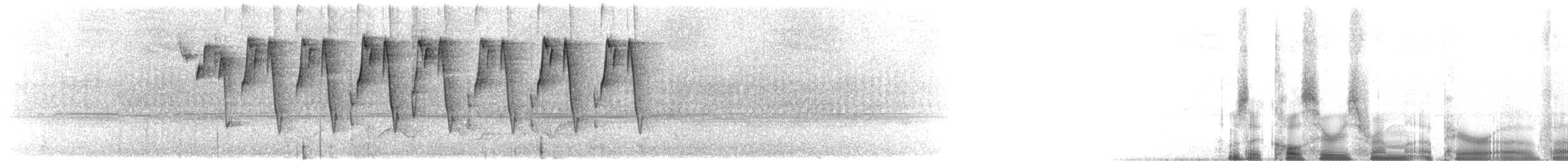 Black-chested Sparrow - ML631266199