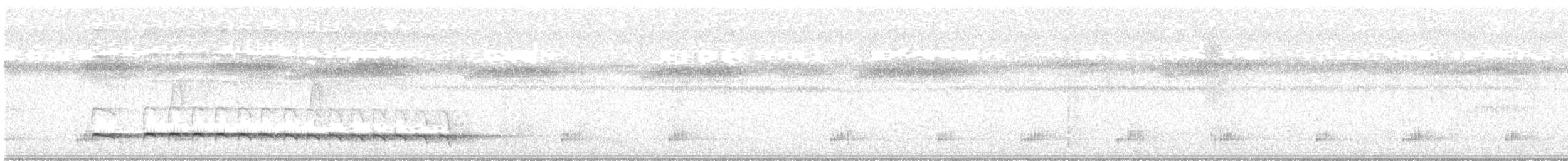Mayan Antthrush - ML631267074