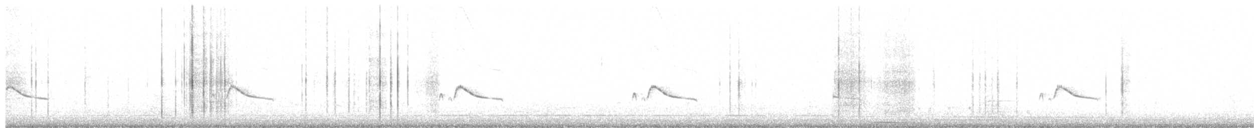 Say's Phoebe - ML631271833