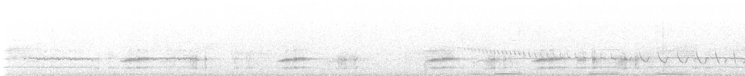Canyon Wren - ML631272506