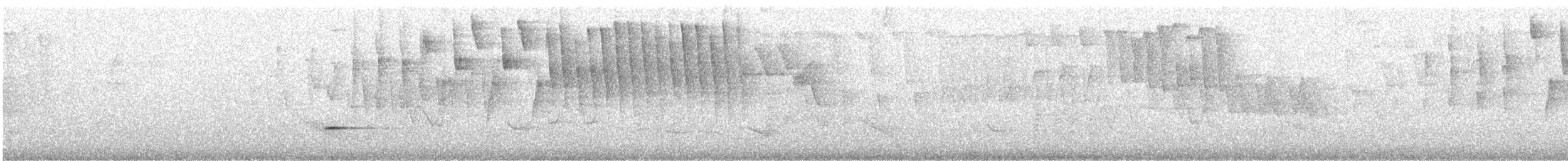 Tennessee Warbler - ML631276647