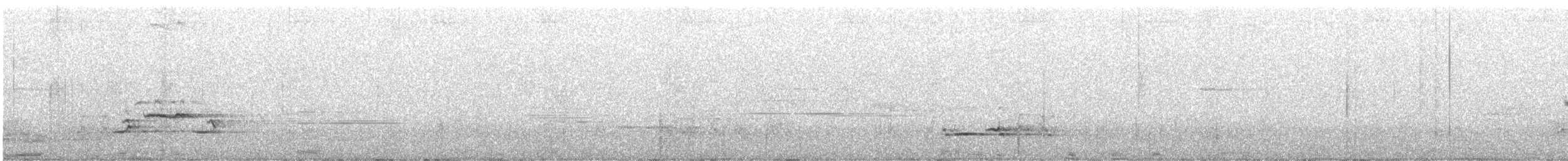 Black-billed Nightingale-Thrush - ML631276699