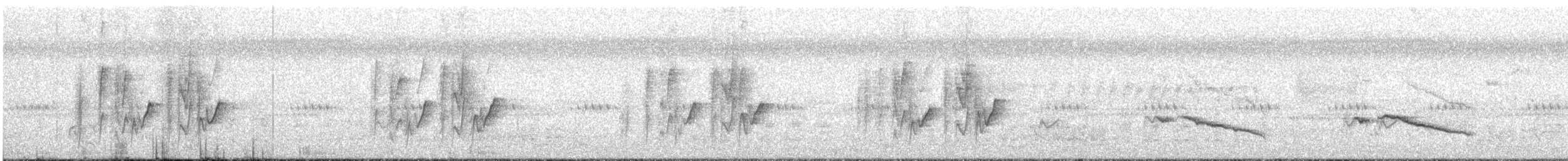 White-eared Monarch - ML631281116