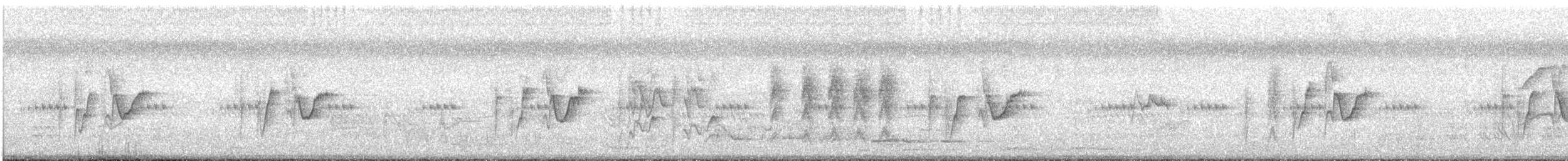 White-eared Monarch - ML631281118
