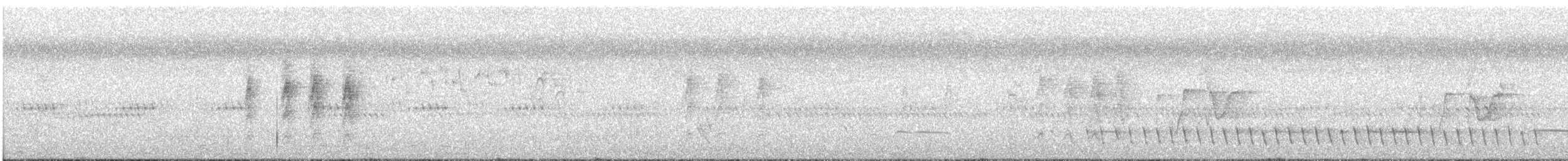 White-eared Monarch - ML631281120