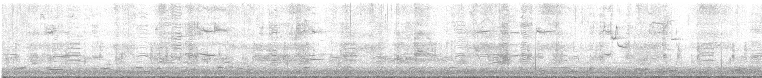 Common Grackle - ML631286715