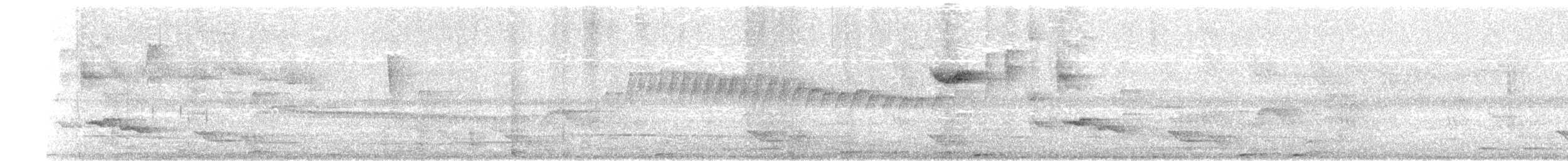 White-browed Gnatcatcher - ML631292622