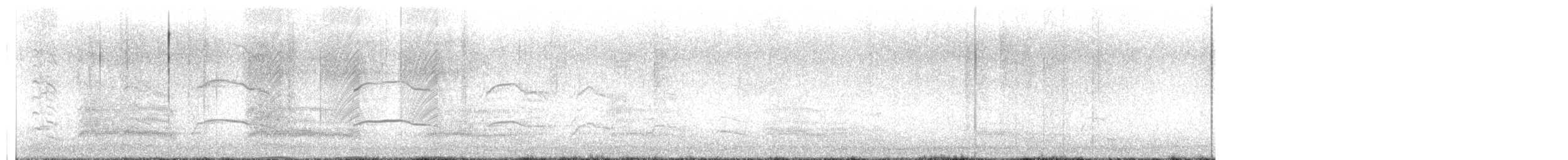 カモメ（canus） - ML631298889