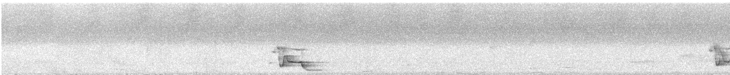 New Zealand Kaka - ML631302451