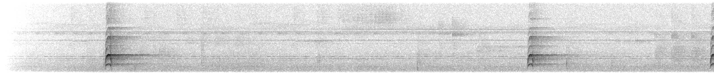 Laced Woodpecker - ML631305796