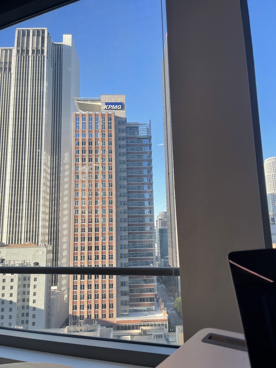 Peregrine Falcon - ML631309833