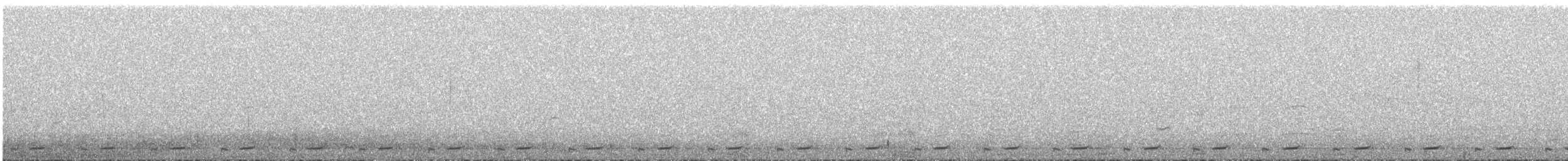 Graubrust-Höhenläufer - ML631313243