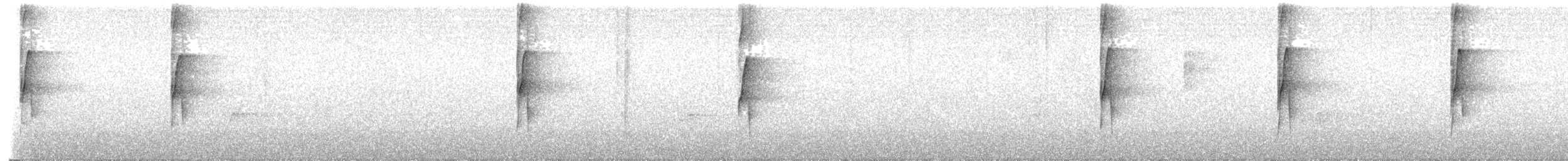 Middle American Leaftosser - ML631317679