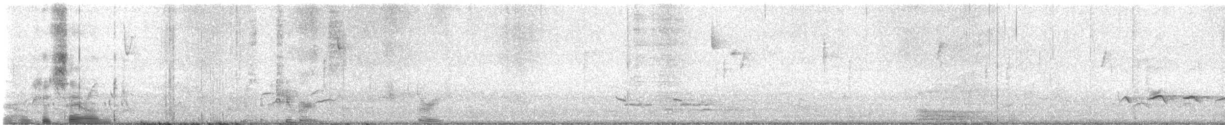 American Robin - ML631318420
