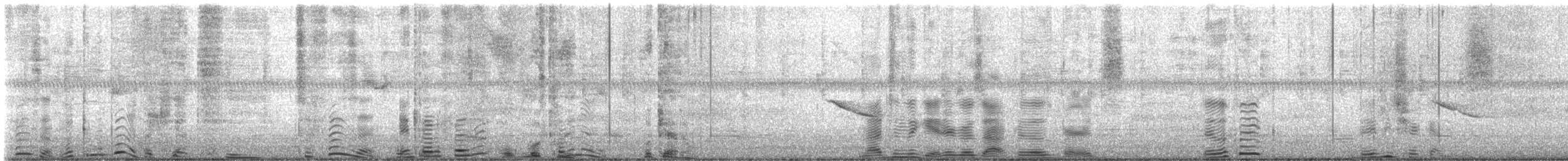 Red-winged Blackbird - ML631323398