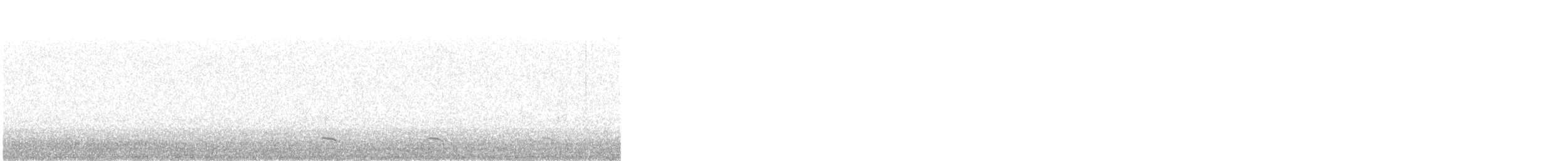 Common Scoter - ML631323586