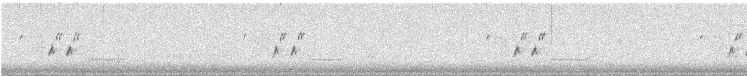 Black-throated Sparrow - ML631325283