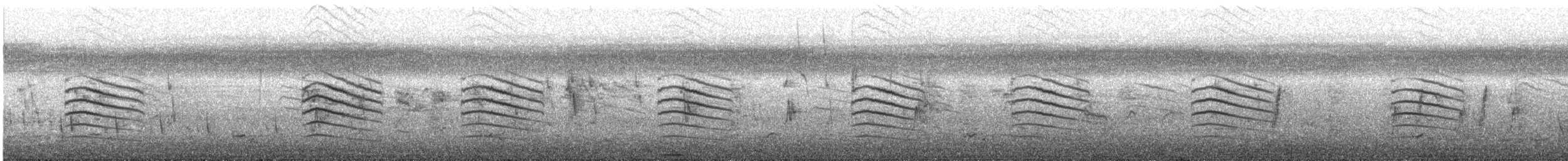 カノコスズメ - ML631330059