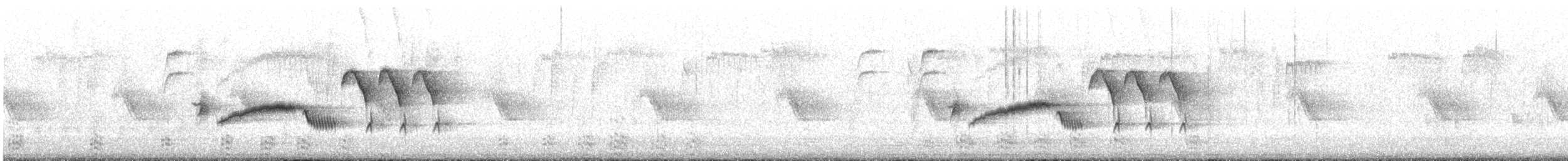 Bewick's Wren - ML631330616