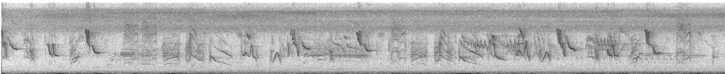 Рисоїд нікарагуанський - ML631330621