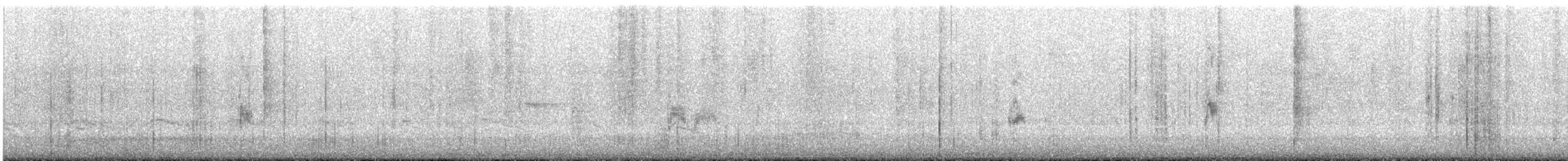 Hermit Thrush - ML631330710