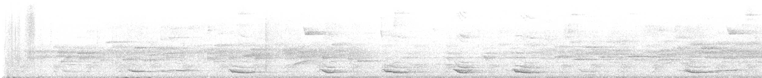 カザリキヌバネドリ（mocinno） - ML631333299