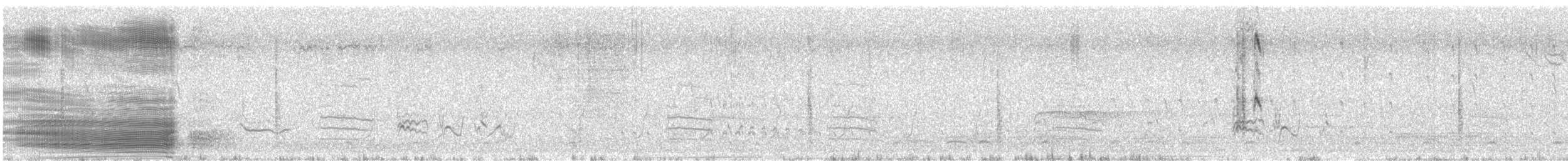 Brewer's Blackbird - ML631333734