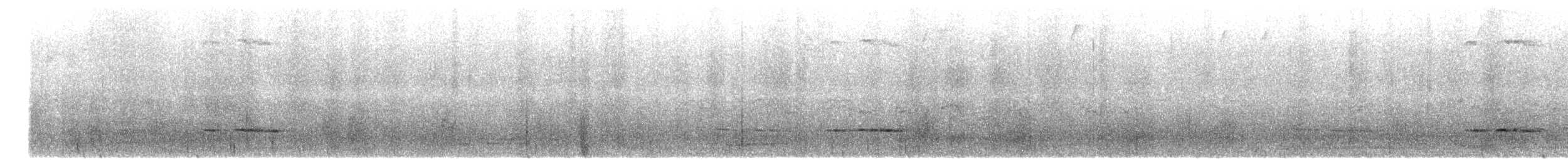 Equatorial Antpitta - ML631335647