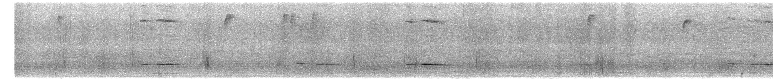 Equatorial Antpitta - ML631335649