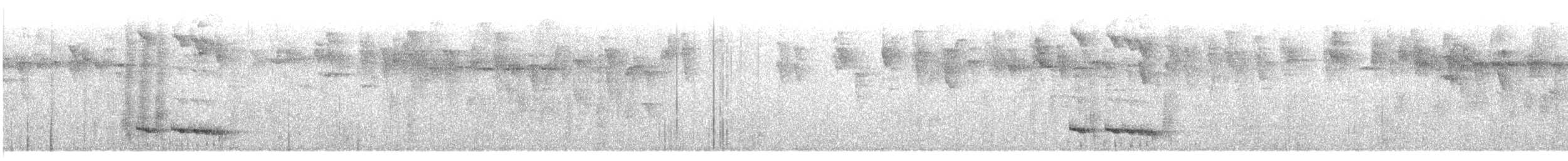 Equatorial Antpitta - ML631336285