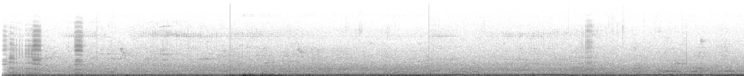 Neotropic Cormorant - ML631337040