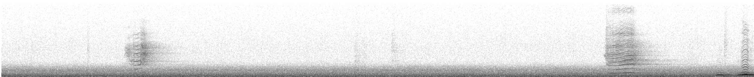 Great Horned Owl - ML631342947