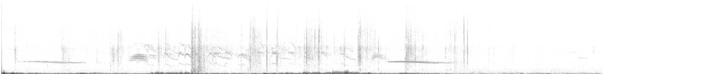 Colin arlequin - ML631352818