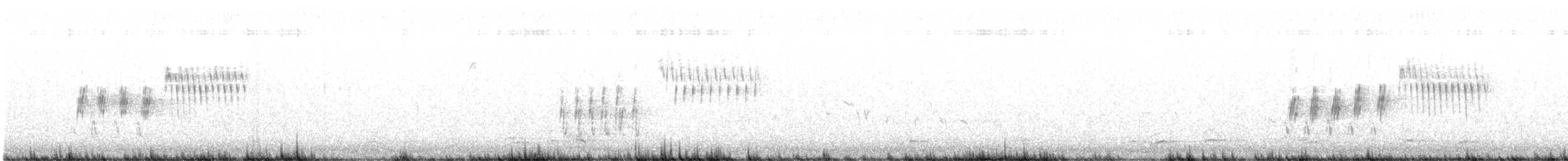 Пятнистый тохи - ML631361140