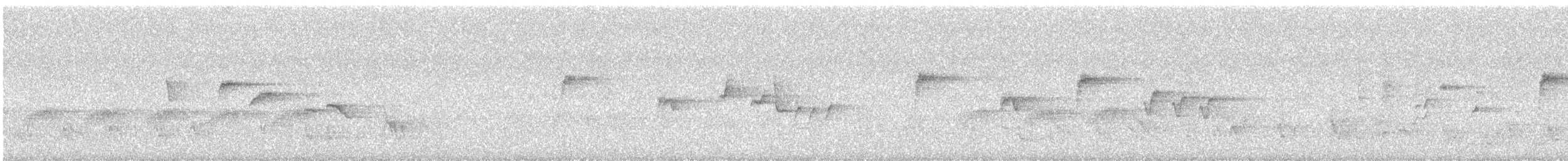 オジロカンムリヒタキ - ML631362418