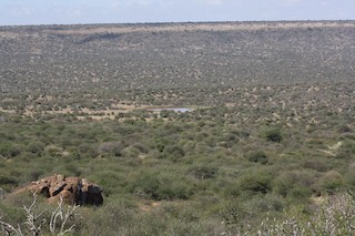 Mpala Ranch and Research Centre, Rift Valley, Kenya - eBird Hotspot