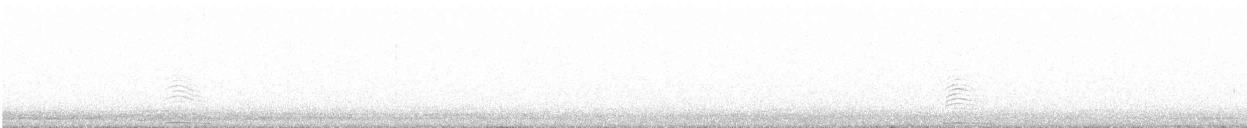 Long-eared Owl (Eurasian) - ML631368915