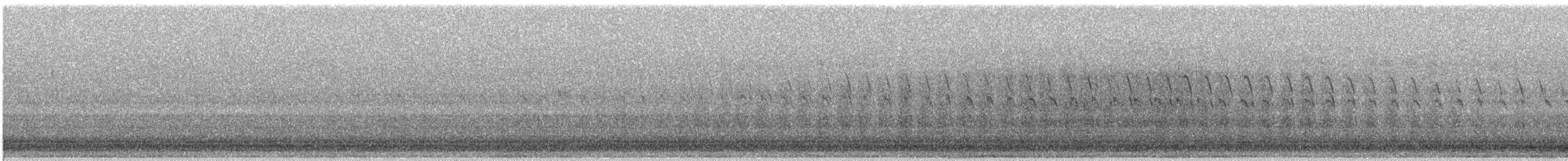 Нугасны овгийн зүйл - ML631381826